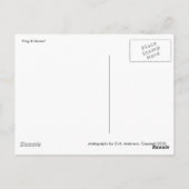 Koning en koningin, B&W Briefkaart (Achterkant)