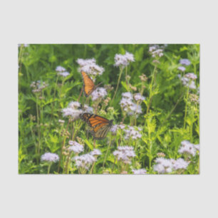 Koning en koningin tissuepapier