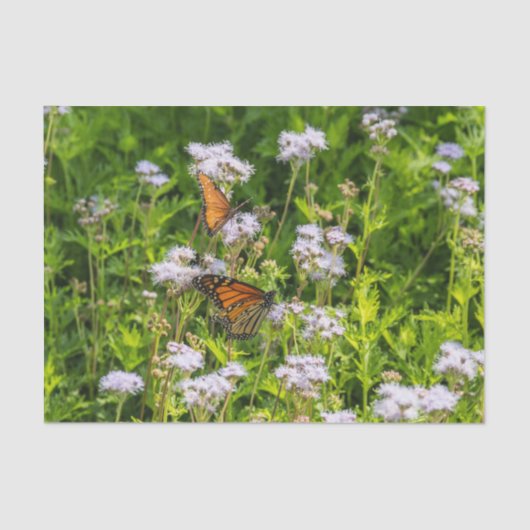 Koning en koningin tissuepapier (Voorkant)