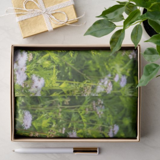 Koning en koningin tissuepapier (Geschenk)