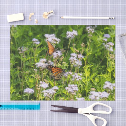 Koning en koningin tissuepapier (Craft)