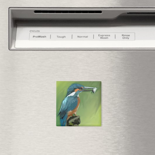 Koning en Vismagneet Magneet (Insitu (Vaatwasser))