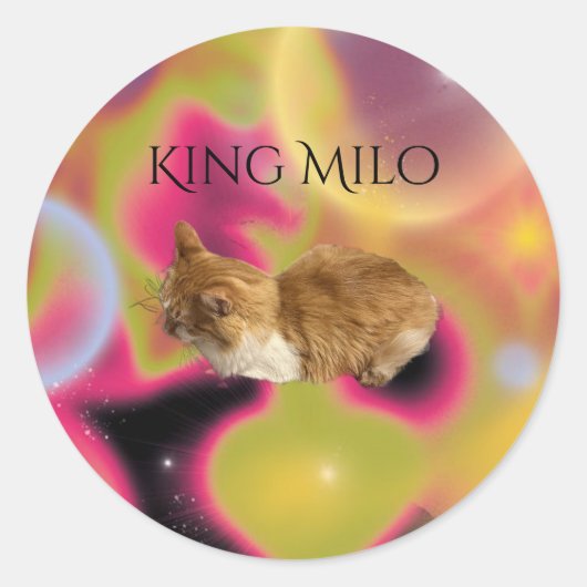 Koning Milo Sticker (Voorkant)