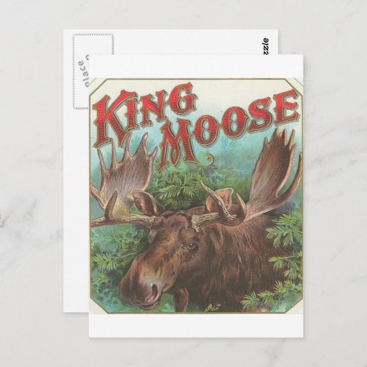 koning Moose Briefkaart (Voorkant / Achterkant)