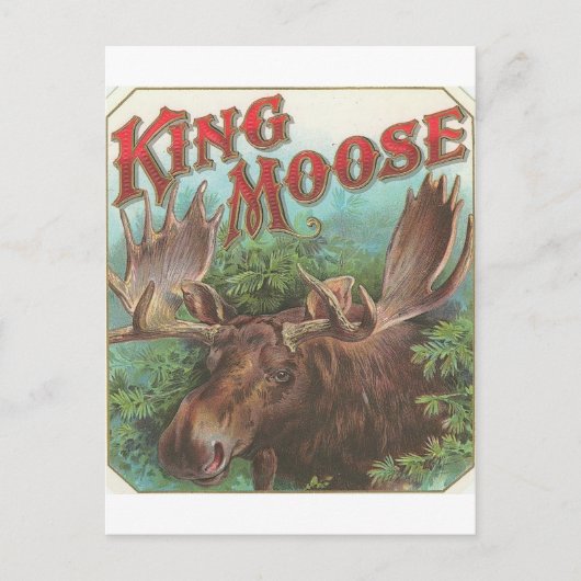 koning Moose Briefkaart (Voorkant)