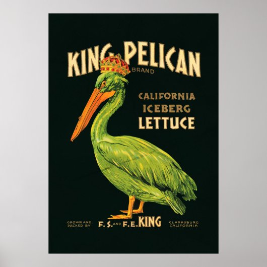 Koning Pelikaan Ijsbergsla Poster (Voorkant)