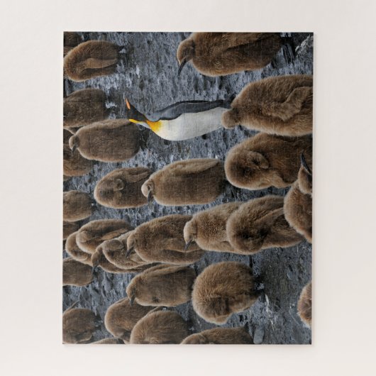 Koning Penguin en jonge kippen in Zuid-Georgië Legpuzzel (Verticaal)
