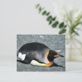 Koning Penguin op het strand Briefkaart (Staand voorkant)