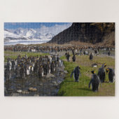 Koning Penguins en bergen in Zuid-Georgië Legpuzzel (Horizontaal)