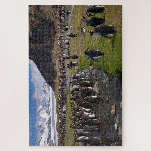 Koning Penguins en bergen in Zuid-Georgië Legpuzzel (Verticaal)