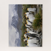 Koning Penguins en bergen in Zuid-Georgië Legpuzzel (Verticaal)