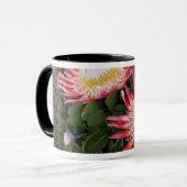 Koning Protea (Protea Cynaroides), Helderberg Mok (Voorkant links)