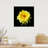 Koning Ransom, hybride thee-roos Poster (Keuken)