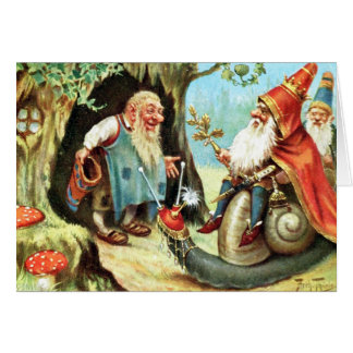 Koning van de Gnomen