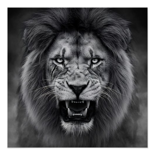 Koning van de Jungle Perfect Poster (Voorkant)