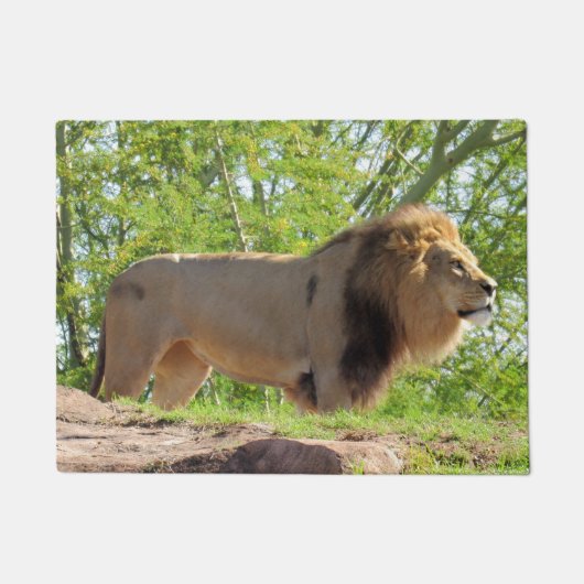 Koning van de Oerwoud (leeuw) Deurmat (Voorkant)