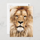 Koning van de Oerwoud Lion Post Kaart (Voorkant / Achterkant)