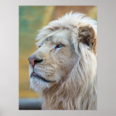 Koning van de Oerwoud Lon Print Poster Art Wall (Voorkant)