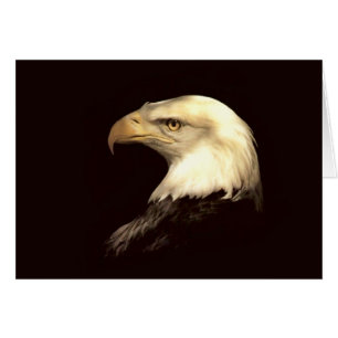 koning van de vlieger