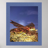 Koning van Dragons Poster (Voorkant)