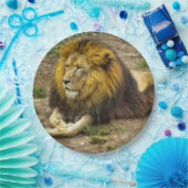 Koning van het Bord Zoopapier (Feest)