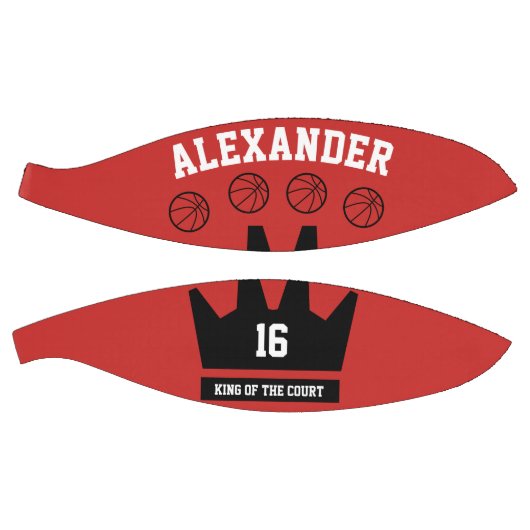 Koning van het Hof Mini Basketbal (Panelen)