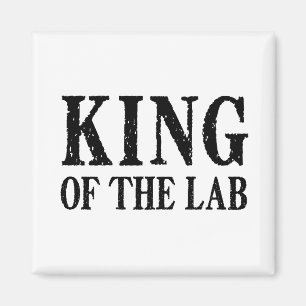 Koning van het Lab - Magnet