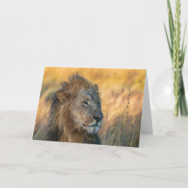 Koning van het Oerwoud, Botswana Kaart