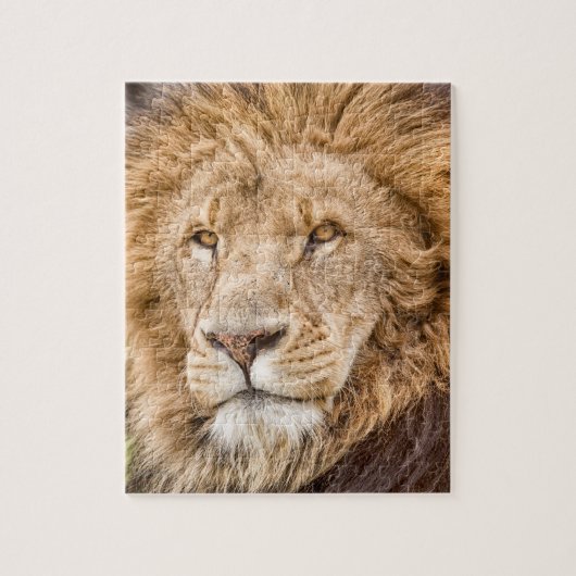Koning van het Oerwoud-Lion Puzzle Legpuzzel (Verticaal)