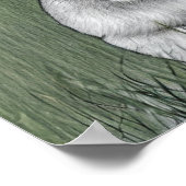 Koning van het Oerwoud Poster (Hoek)