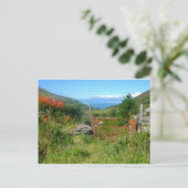 Koning van Kerry overziende dag van de dingle Briefkaart (Staand voorkant)