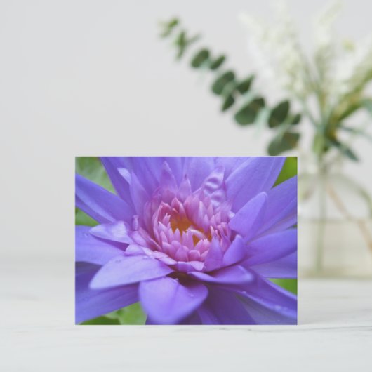 Koning van Siam Briefkaart (Staand voorkant)