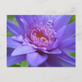 Koning van Siam Briefkaart