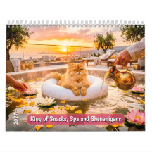 Koning van Snacks, Spa en Schelmenstreken Kat