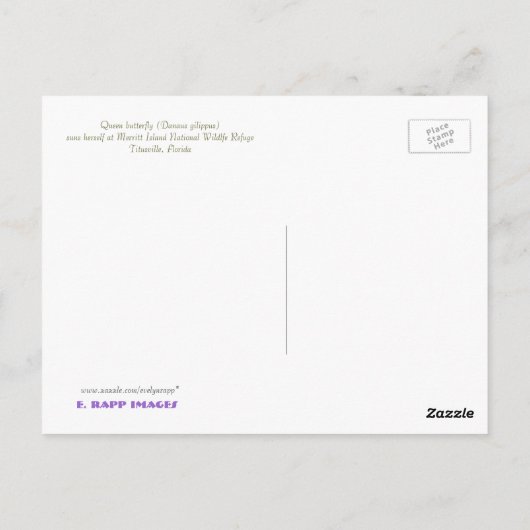 KONINGBUTTERFLY BRIEFKAART (Achterkant)