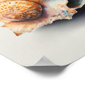 Koningenkegelschelp in waterverf poster (Hoek)