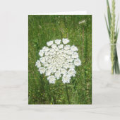 koningin anne's kant kaart (Voorkant)