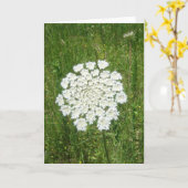 koningin anne's kant kaart (Gele Bloem)