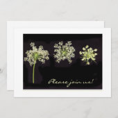 Koningin Annes kant uitnodiging (Voorkant / Achterkant)