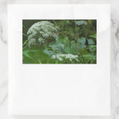 Koningin Anne's La ce Wildflower - Daucus carota Rechthoekige Sticker (Tas)