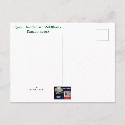 Koningin Anne's La ce Wildflower - Daucus carota Uitnodiging Briefkaart (Achterkant)