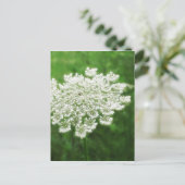 Koningin Anne's Lace 1 (Wilde wortel) Briefkaart (Staand voorkant)