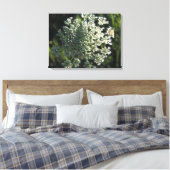 Koningin Anne's Lace Flower Afbeelding Canvas Afdruk (Insitu (Slaapkamer))