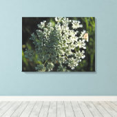 Koningin Anne's Lace Flower Afbeelding Canvas Afdruk (Insitu (Houten vloer))