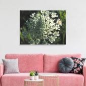 Koningin Anne's Lace Flower Afbeelding Canvas Afdruk (Insitu (Woonkamer))