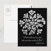 Koningin Anne's Lace Job 37:14 Briefkaart (Voorkant / Achterkant)