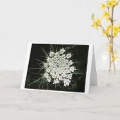 Koningin Anne's Lace, kaart (Gele Bloem)