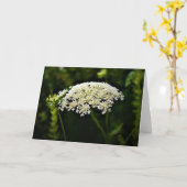 Koningin Anne's Lace, kaart (Gele Bloem)