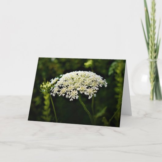 Koningin Anne's Lace, kaart (Voorkant)