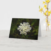 Koningin Anne's Lace, kaart (Gele Bloem)